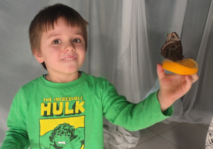 chłopiec z motylem na plastru pomarańczy