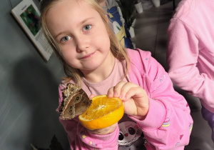 przedszkolaki, dziewczynka z motylem na plastru pomarańczy