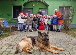 Wycieczka do schroniska dla bezdomnych zwierząt