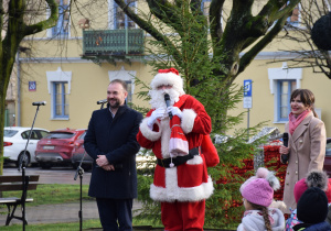 osoba dorosła, mikołaj