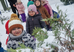 grupa dzieci przy śnieżnym krzewie