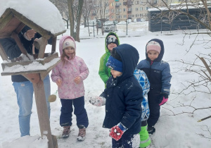 dokarmianie ptaków
