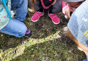 Dzieci szukają robaków w trawie.