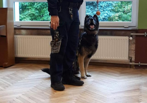 policjant wraz z psem