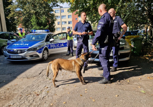 policjantka przy radiowozozie, policjanci, pies policyjny